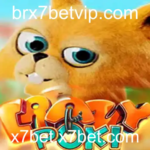 Explore o Mundo Empolgante de CrazyPoki: Regras e Estratégias