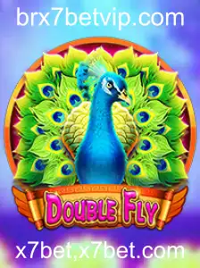 Explorando o Mundo de DoubleFly: Regras, Estratégias e Atrações